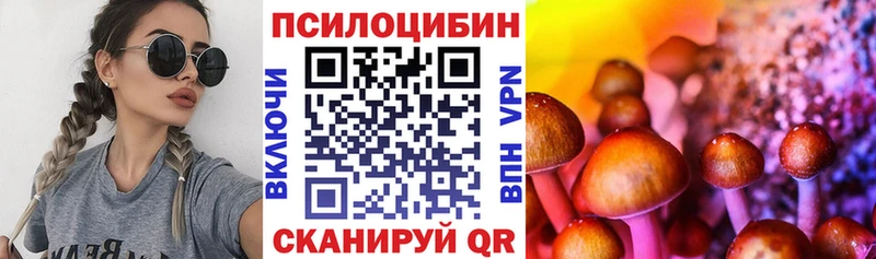 Псилоцибиновые грибы мицелий Верхотурье