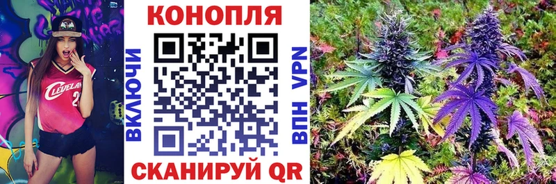 Бошки Шишки AK-47 Верхотурье